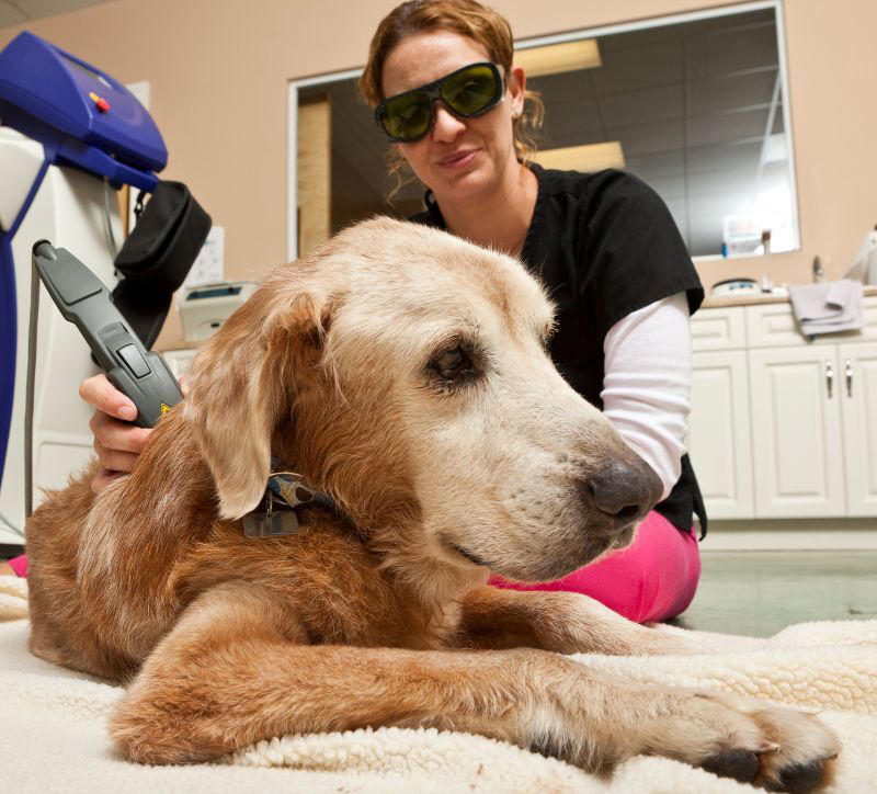 Laser Therapy