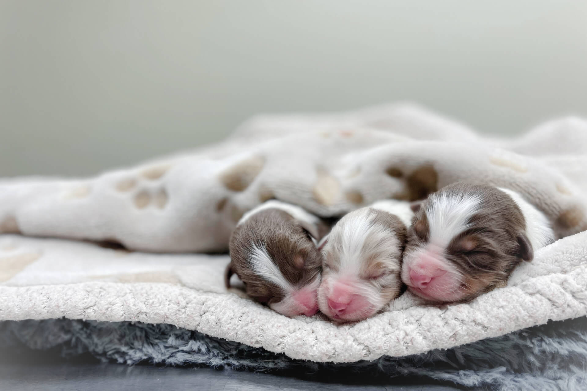 Providing leading Reproductive Services