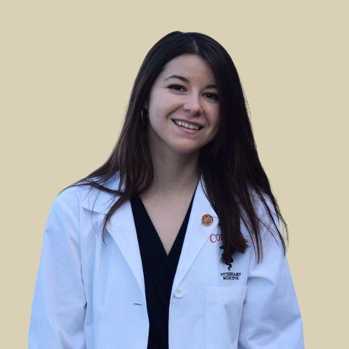 Dr. Veilleux Village Center Veterinary Care 